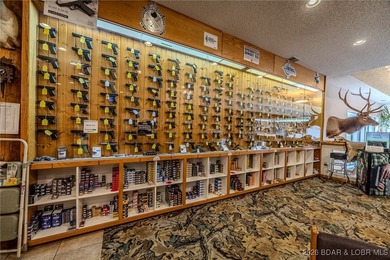 Incredible Commercial Opportunity in Prime Osage Beach Location - photo 48