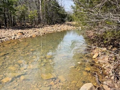 Lake Acreage For Sale in Sims, Arkansas