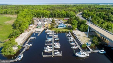Premier Waterfront Marina & Income Powerhouse! Seize this rare - photo 19