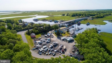 Premier Waterfront Marina & Income Powerhouse! Seize this rare - photo 24
