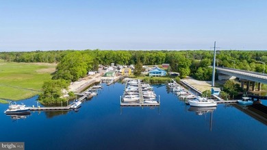 Premier Waterfront Marina & Income Powerhouse! Seize this rare - photo 30