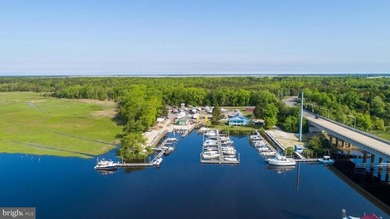 Premier Waterfront Marina & Income Powerhouse! Seize this rare - photo 31