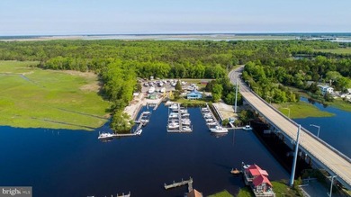 Premier Waterfront Marina & Income Powerhouse! Seize this rare - photo 34