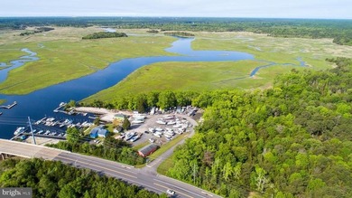 Premier Waterfront Marina & Income Powerhouse! Seize this rare - photo 42
