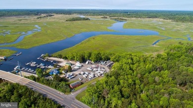 Premier Waterfront Marina & Income Powerhouse! Seize this rare - photo 43