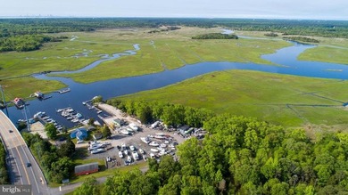 Premier Waterfront Marina & Income Powerhouse! Seize this rare - photo 44