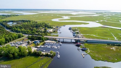 Premier Waterfront Marina & Income Powerhouse! Seize this rare - photo 48