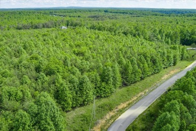Lake Acreage For Sale in Spencer, Tennessee