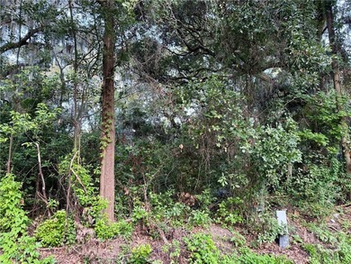 PRICE REDUCED! Searching for a buildable lot in Savannah? - photo 2