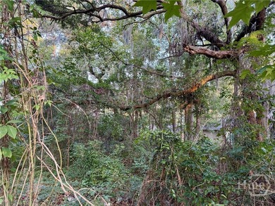 PRICE REDUCED! Searching for a buildable lot in Savannah? - photo 3