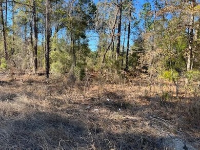 (private lake, pond, coastal) Lot For Sale in Ocala Florida