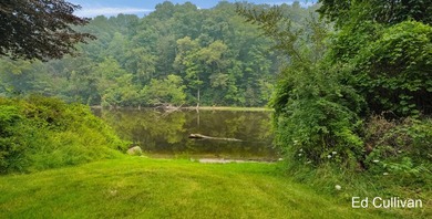 Enjoy the best of Muskegon River living with this updated - photo 4