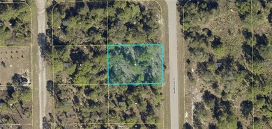 Lehigh Acres Area Lot For Sale in Lehigh Acres Florida