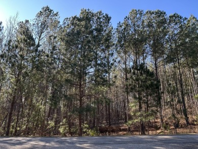 Lake Lot Sale Pending in Lincolnton, Georgia