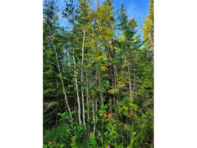 Lake Acreage For Sale in Kalkaska, Michigan