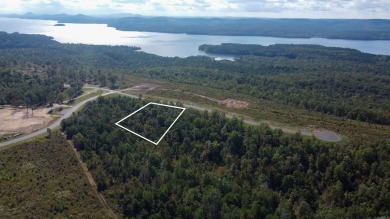 Lake Lot For Sale in Roland, Arkansas