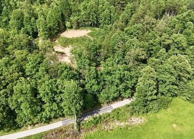 Privacy abounds on this 4.3-acre property located in a beautiful - photo 11