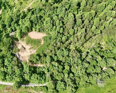 Privacy abounds on this 4.3-acre property located in a beautiful - photo 12