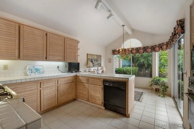 Located in the inviting community of The Village of Bernardo - photo 18