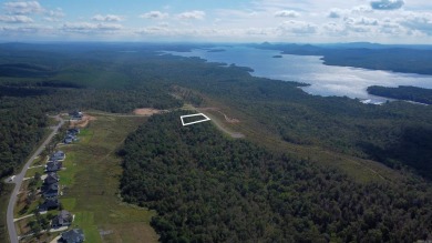 Lake Lot For Sale in Roland, Arkansas