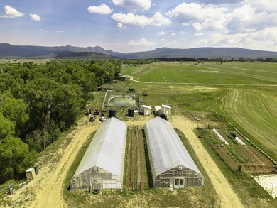 Brazos View Farm encompasses +/-13.7 deeded acres of irrigated - photo 31