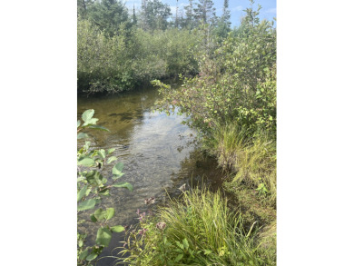 Lake Acreage For Sale in Atlanta, Michigan