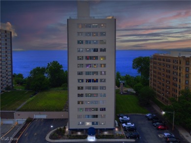 Lake Condo For Sale in Lakewood, Ohio
