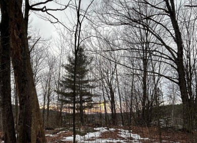 Lake Lot For Sale in Sunapee, New Hampshire