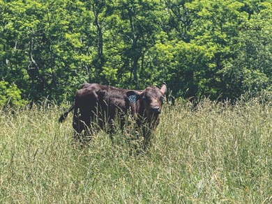 Address: 1517 Sharp Rd, Sharpsburg, KY, 40374 Farm 2 - photo 25