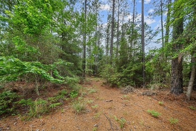 Welcome to your own private retreat in Rayburn Country! Nestled - photo 26