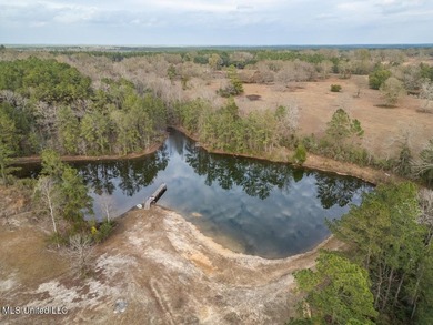 Waterfront country living on approximately 10.75 fully fenced - photo 10