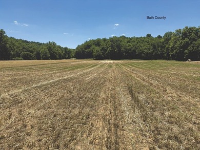 Address: 1517 Sharp Rd, Sharpsburg, KY, 40374 Farm 2 - photo 42