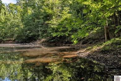 Looking for a place to hook up an RV, and a place to set up camp - photo 9