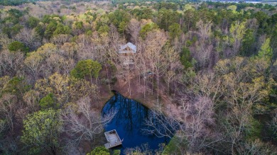 Lake Acreage For Sale in Morrilton, Arkansas