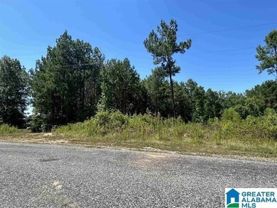Lake Lot For Sale in Sylacauga, Alabama