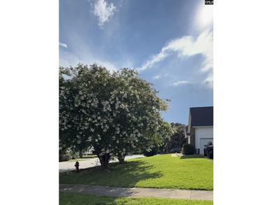 Exciting Price Improvement! Now offered at $300,000, this - photo 5
