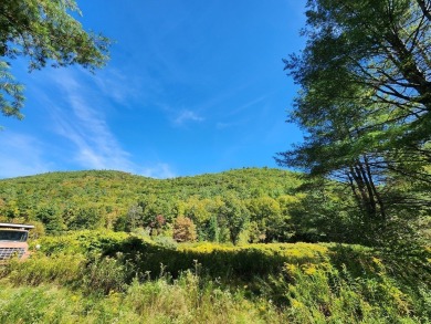 Lake Acreage For Sale in Charlemont, Massachusetts