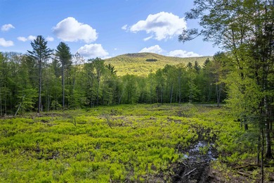 (private lake, pond, creek) Acreage Active Under Contract in Woodstock Vermont