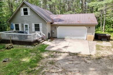 Lake Home For Sale in Elmira, Michigan