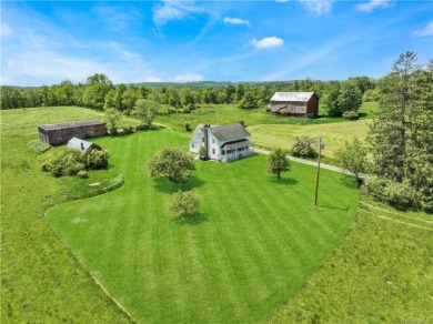 108+ ACRES with 2 Ponds - Lake Home Sale Pending in Glen Spey, New York