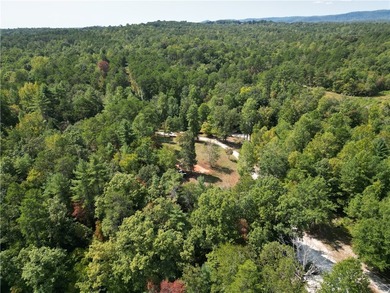 Nestled in the mountains of Walhalla, 135 Crowes Drive offers a - photo 45