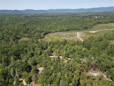 Nestled in the mountains of Walhalla, 135 Crowes Drive offers a - photo 46