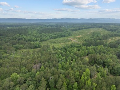 Nestled in the mountains of Walhalla, 135 Crowes Drive offers a - photo 48