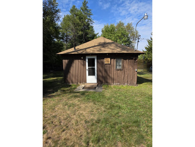 Lake St Helen Home For Sale in Saint Helen Michigan