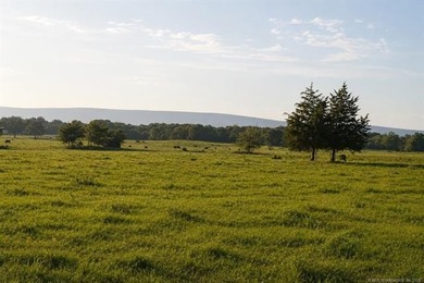 A rare offering in Southeast Oklahoma - 464 acres of highly - photo 15