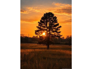 A rare offering in Southeast Oklahoma - 464 acres of highly - photo 29