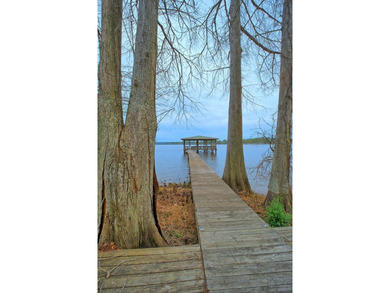 GREAT WATERFRONT RETIREMENT/INVESTMENT PROPERTY on Patroon - photo 31