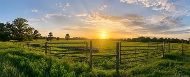 A rare offering in Southeast Oklahoma - 464 acres of highly - photo 35