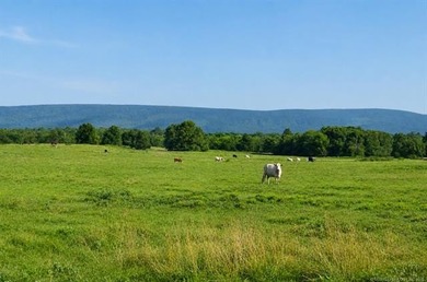 A rare offering in Southeast Oklahoma - 464 acres of highly - photo 38