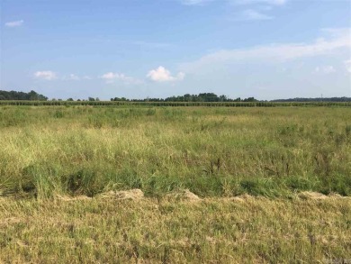 Lake Lot For Sale in England, Arkansas